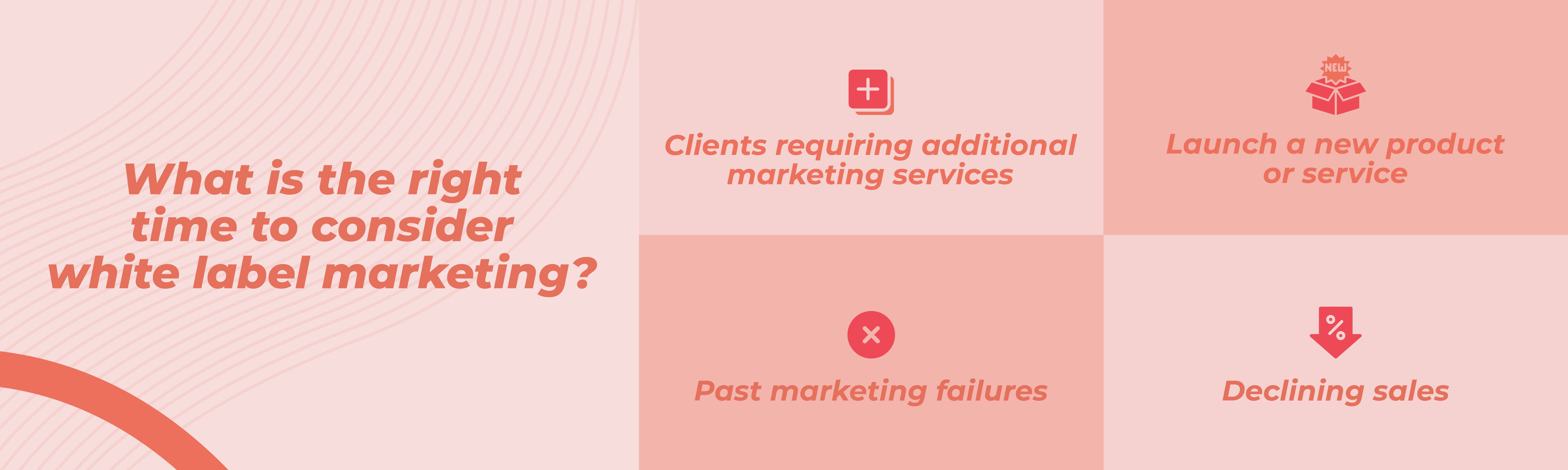 How to Use White Label Marketing Benefits, Services, And Tips [2024